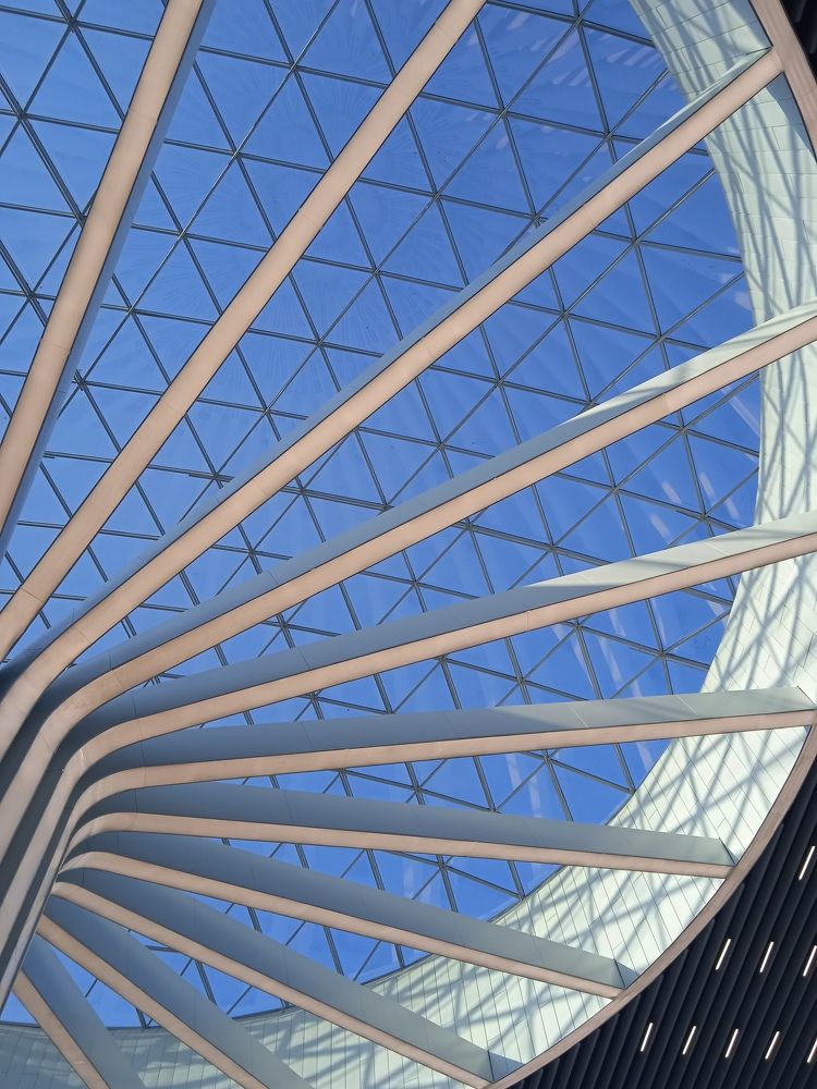 Толмачево аэропорт