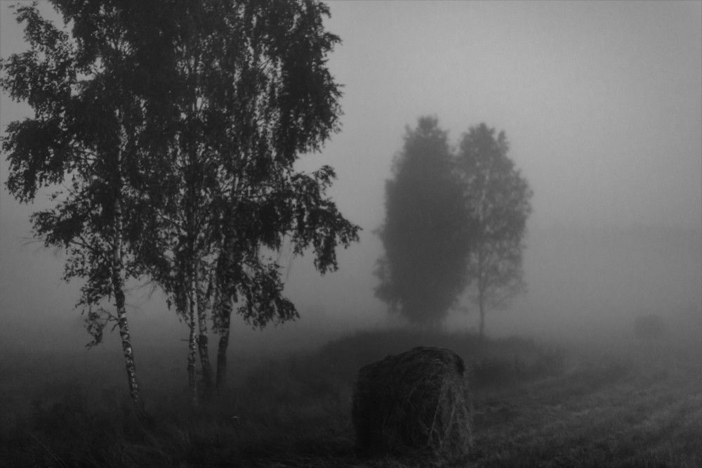 Photograph by Александр Литвинов