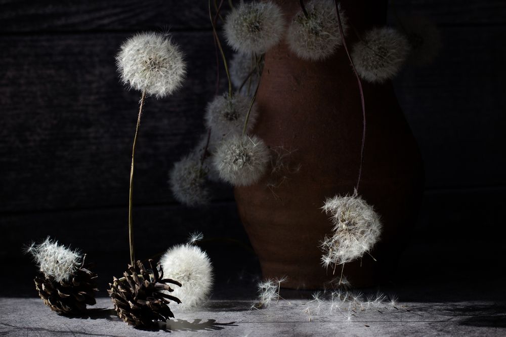 Хрупкий мир