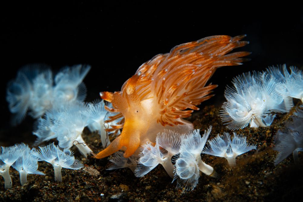 Photograph by Deniz muzaffer Gokmen