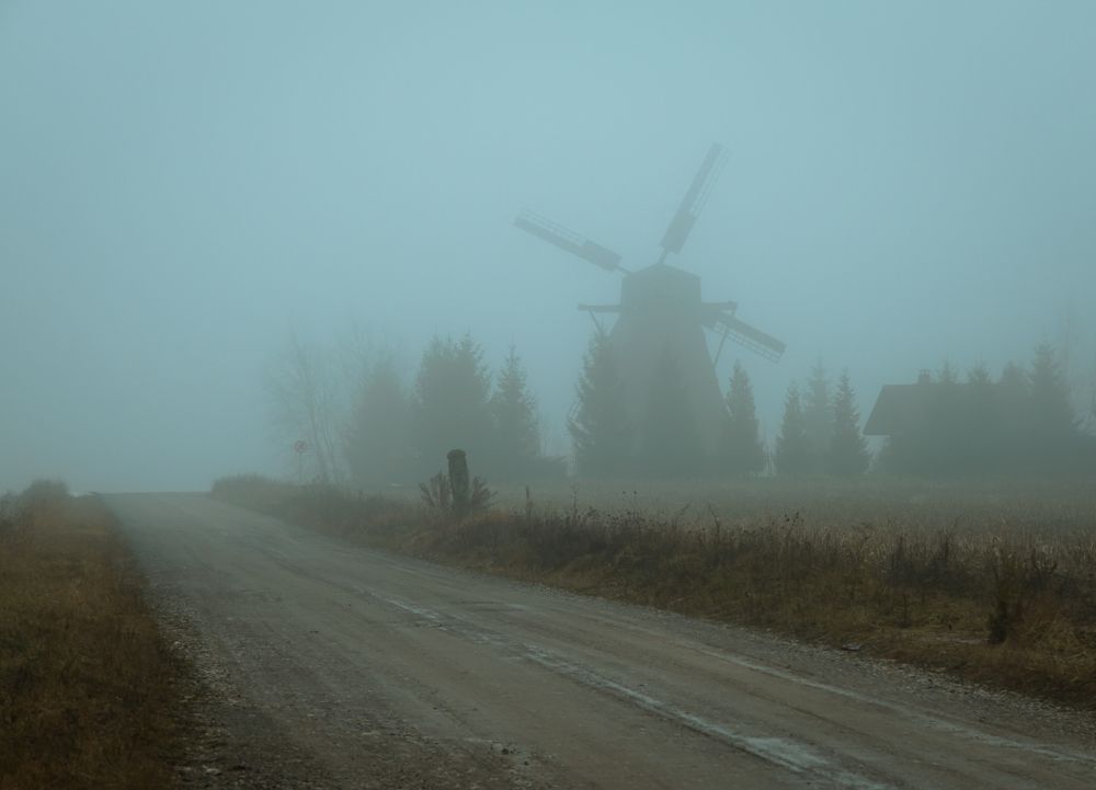 Photograph by Котов Дмитрий