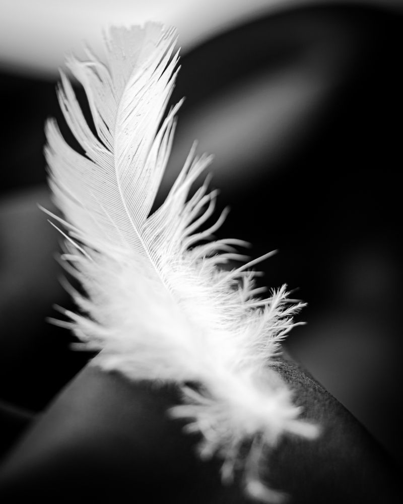 Photograph by Дмитрий Cамойленко