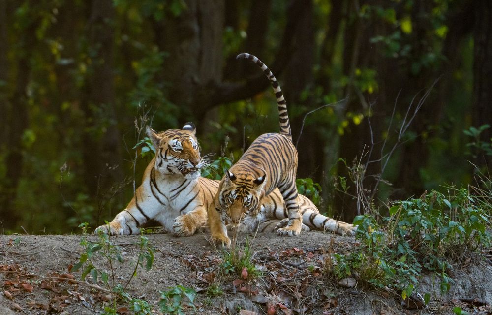 Photograph by Bibhas Deb