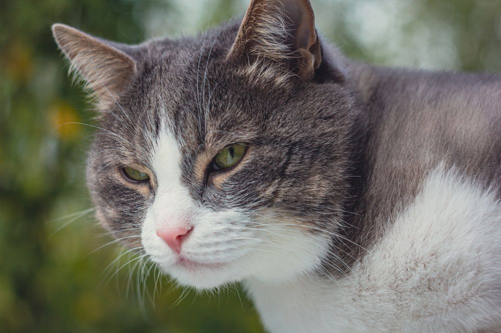 Photograph by Дмитрий Степанов