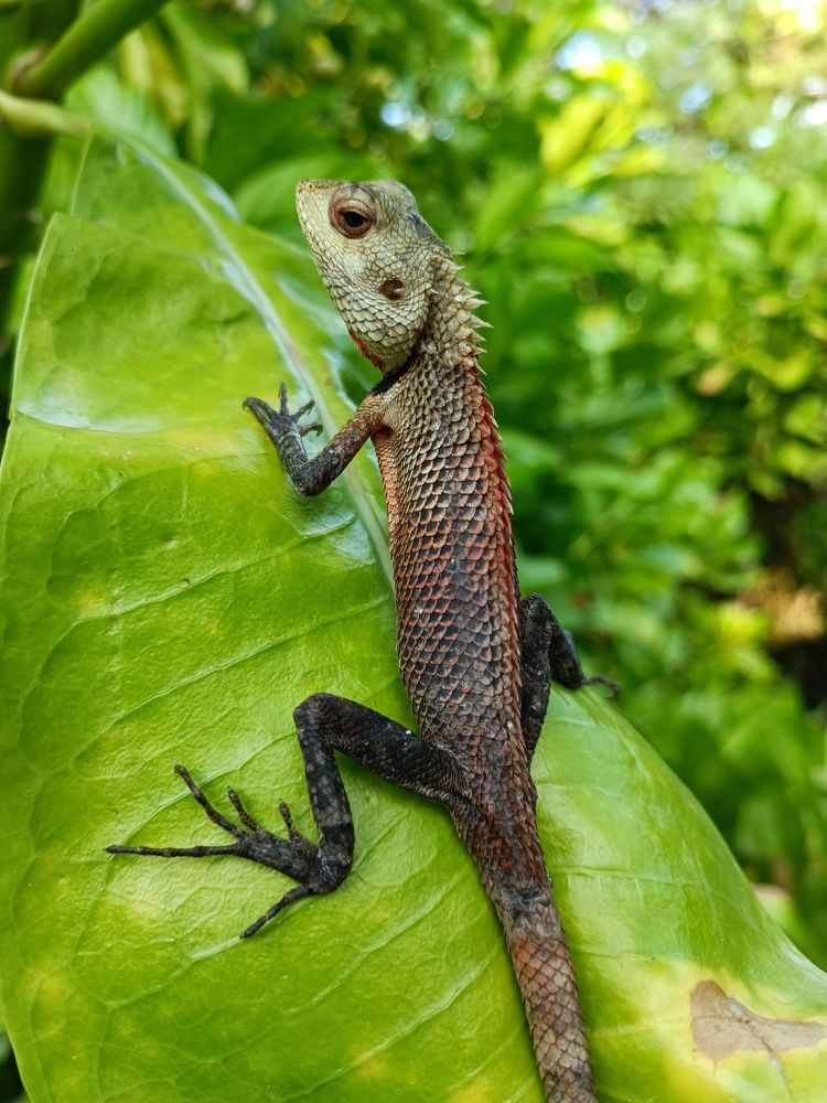 Фотография автора Алексей Самойлов