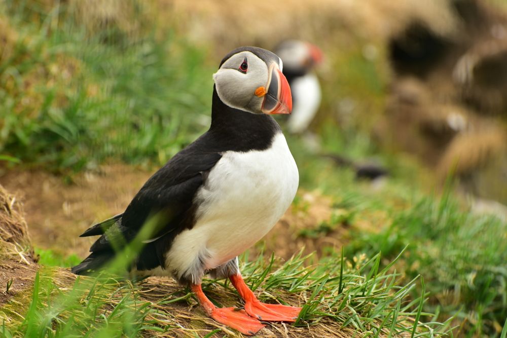 Photograph by Gosha Lukowiak