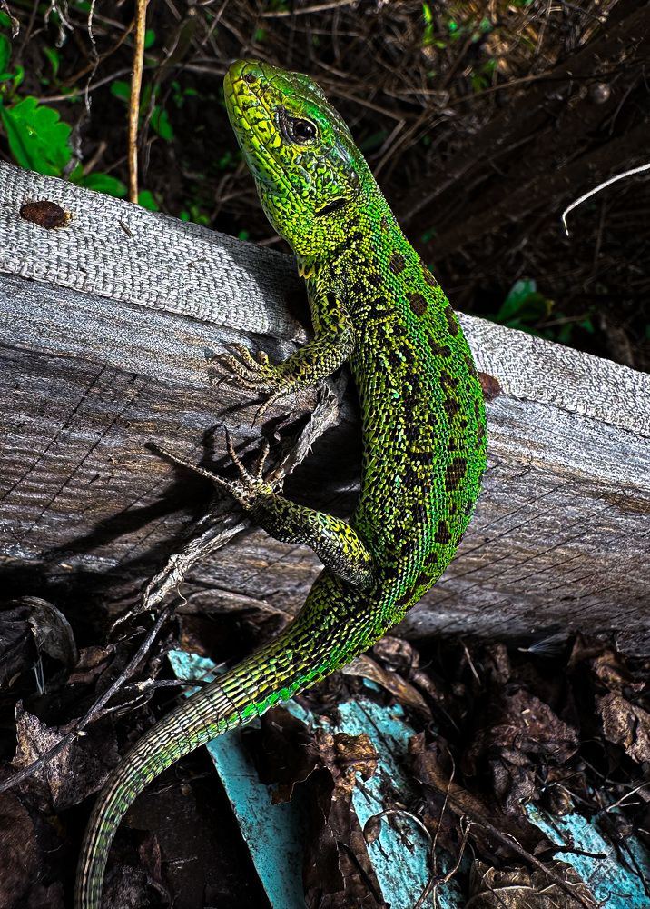 Photograph by Evgenia Privalova