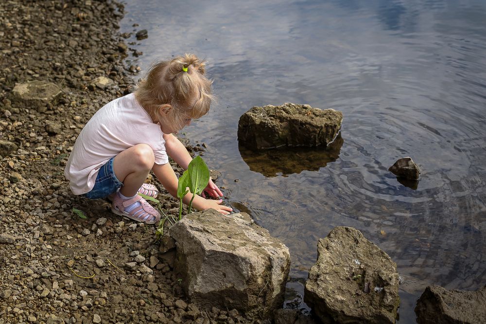 Photograph by Светлана Мухтулова