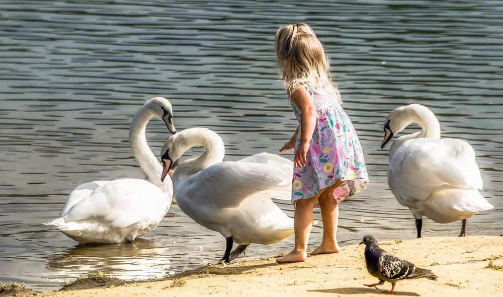 Photograph by Владимир Безбородов
