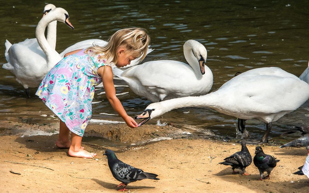 Photograph by Владимир Безбородов