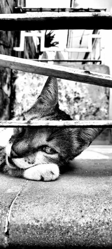 Photograph by Jorge Cruz Fraga