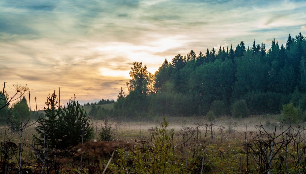 Photograph by Дмитрий Кузнецов