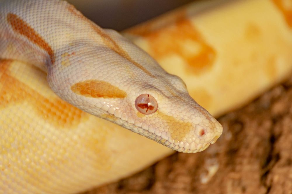 Photograph by Наталья Вялых