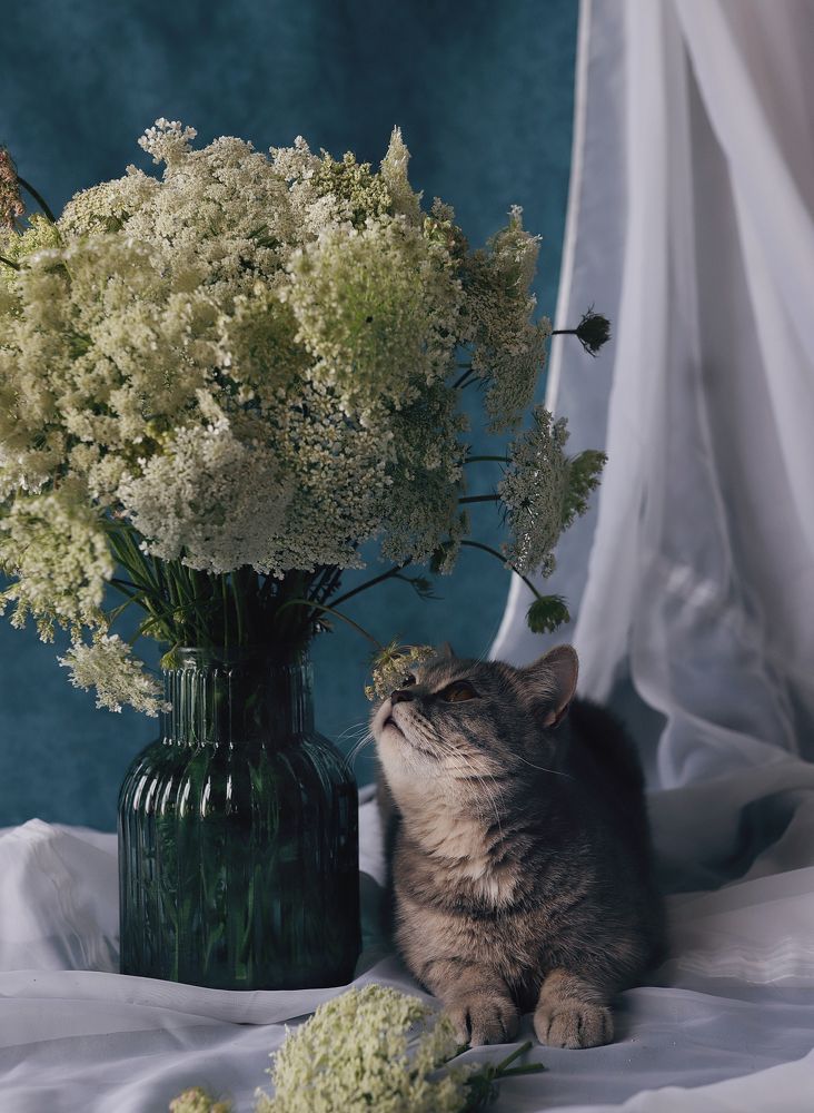 Photograph by Наталья Гусева