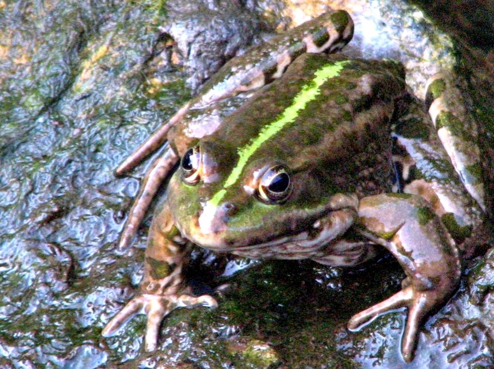 Photograph by Михаил Семёнов