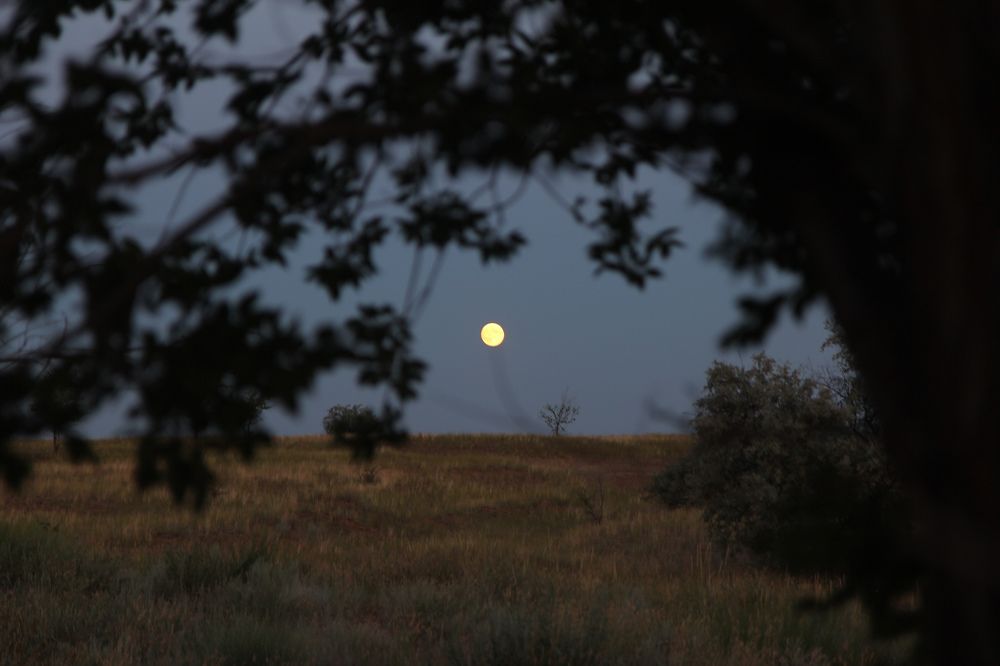 Photograph by Андрей Ионов