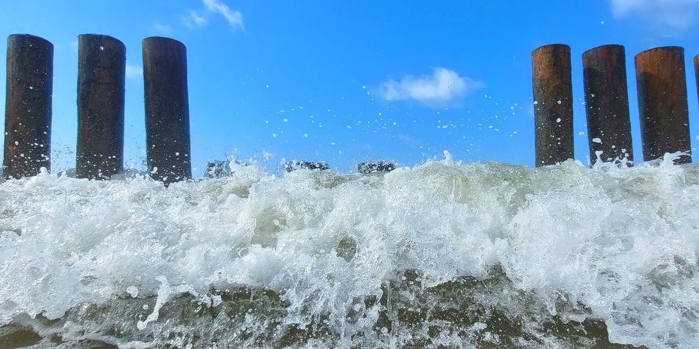 Photograph by Темницкая Дина