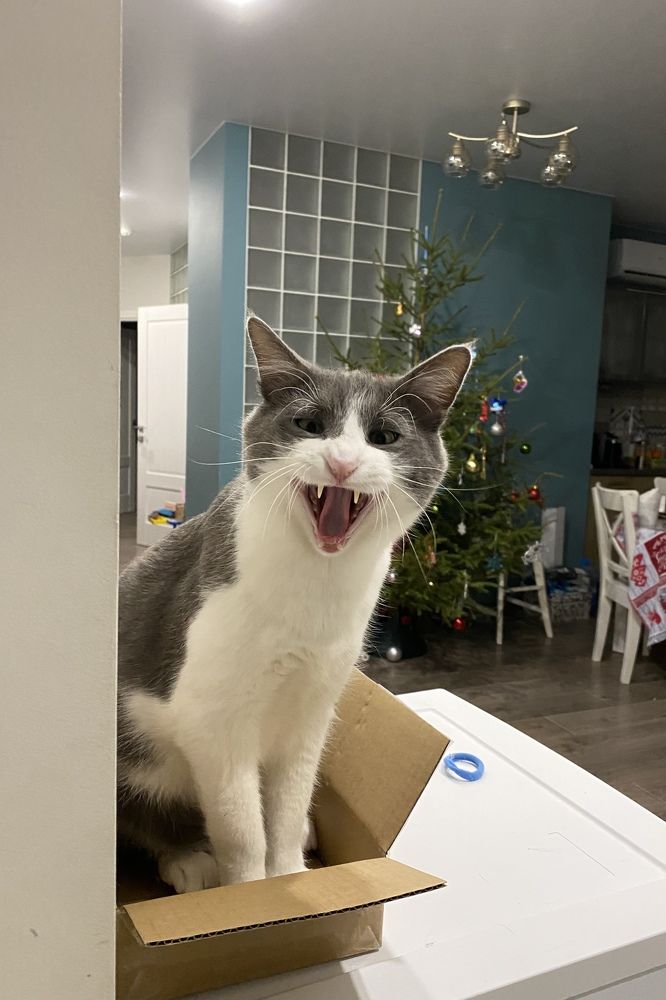 Photograph by Юлия Давыденко