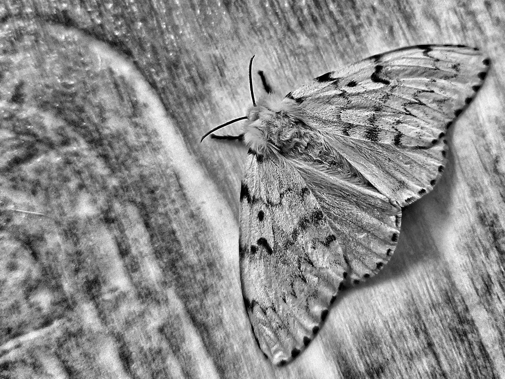 Фотография автора Ola La