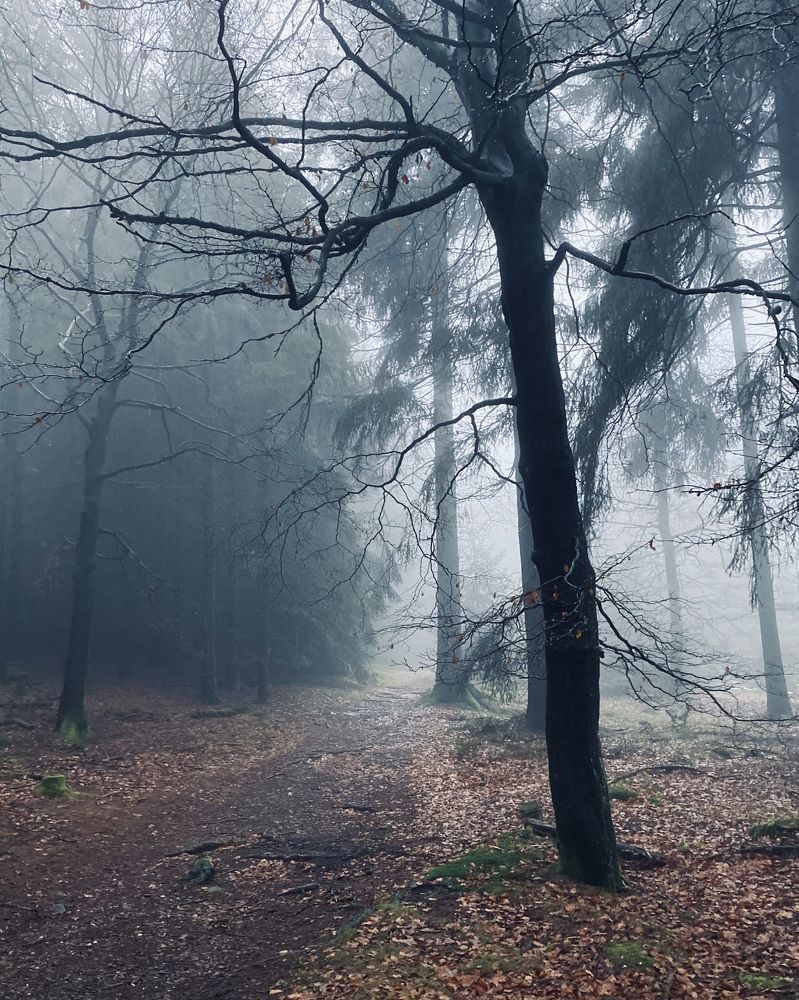 Photograph by Наталья Посашко