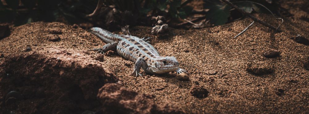 Photograph by Stanislav Shelby