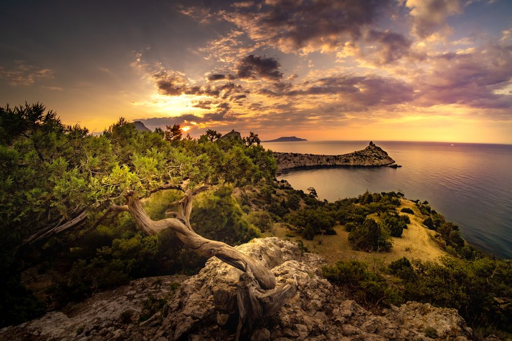 Фотография автора Наталия Разумова