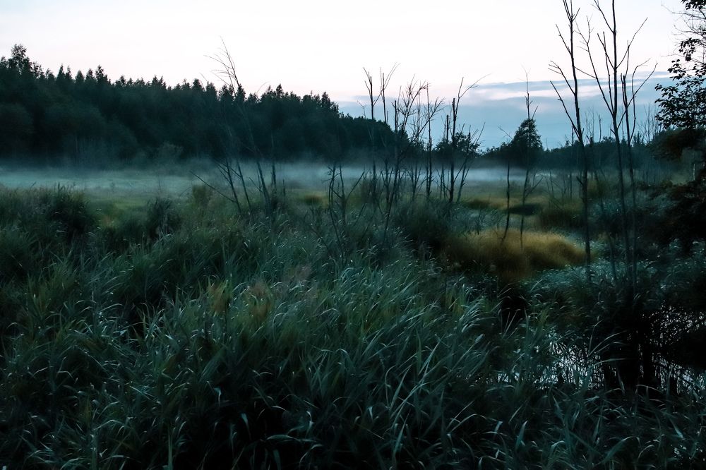 Photograph by Алексей Голубев