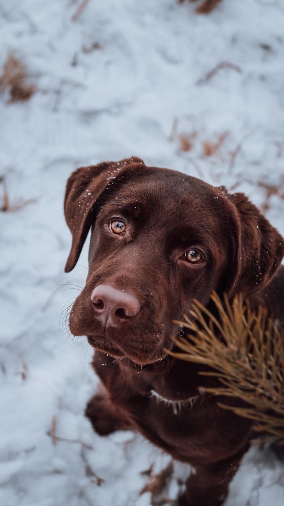 Photograph by Валерия Васина