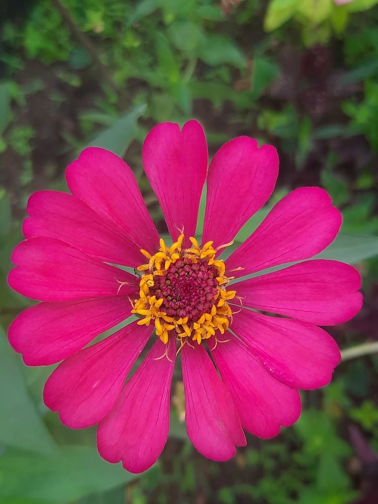 Photograph by Dimuth De Zoysa