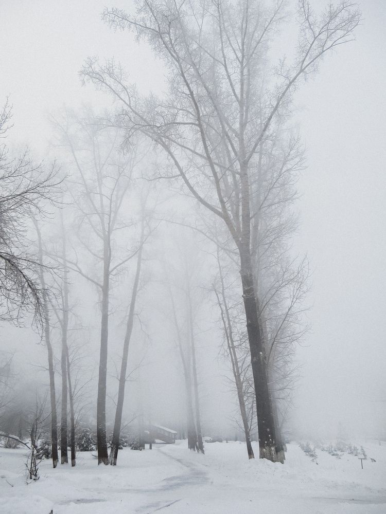 Photograph by Дарья Овсянникова