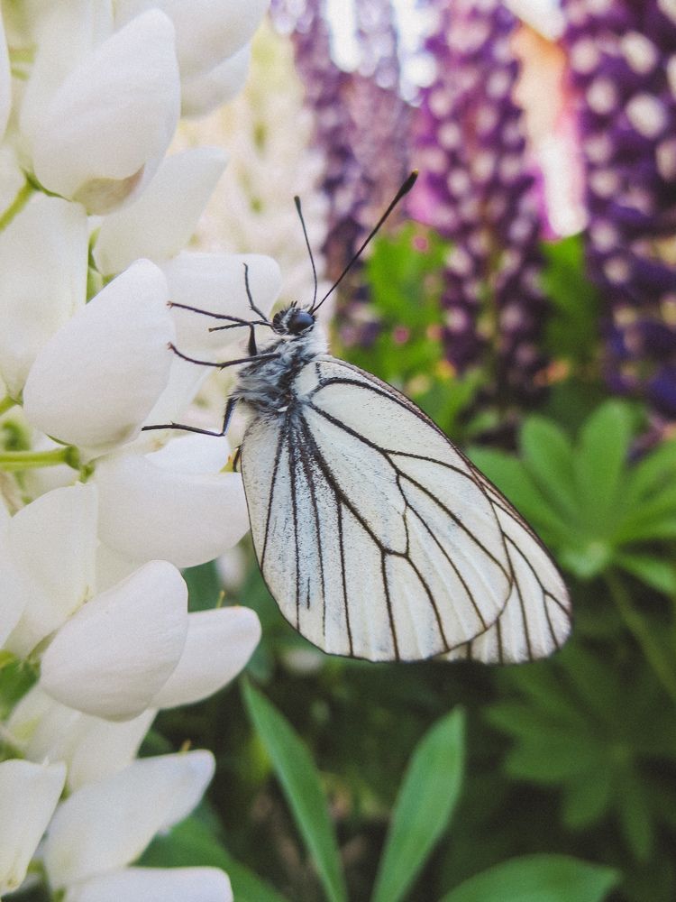 Photograph by Дарья Овсянникова