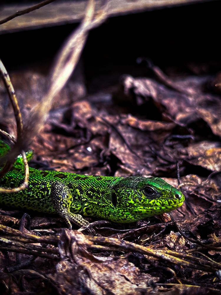 Photograph by Evgenia Privalova