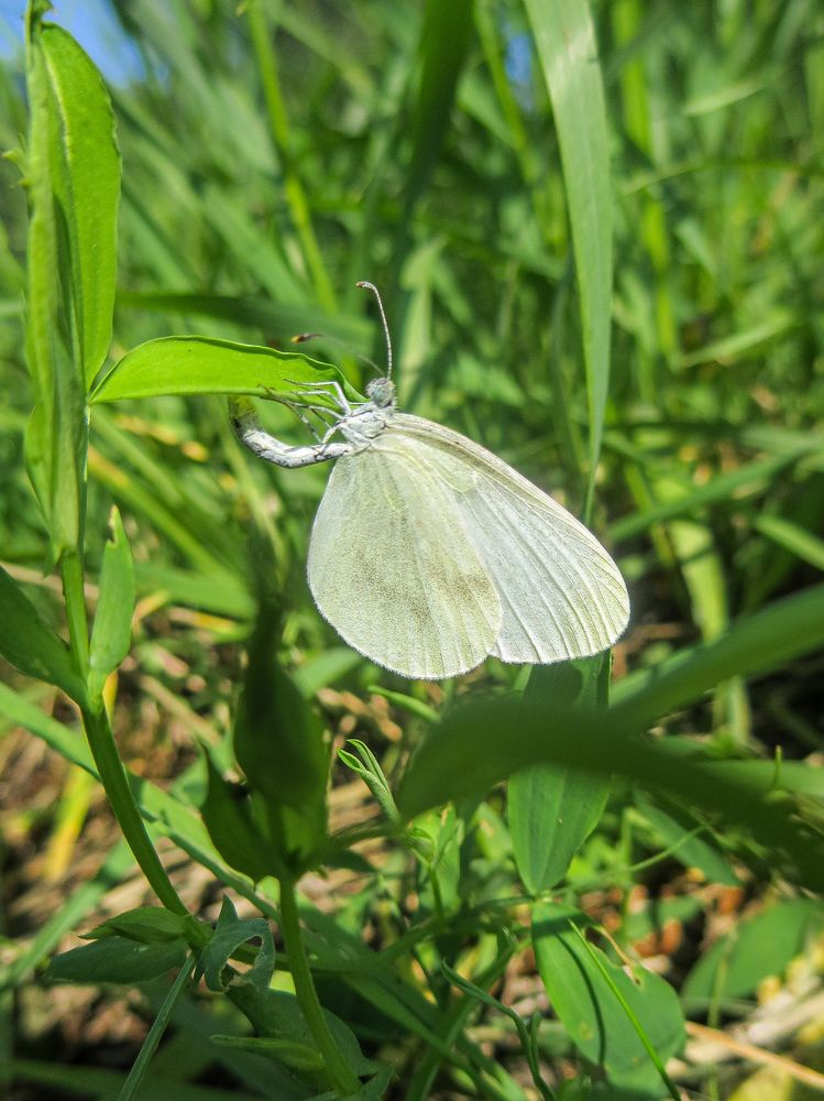 Photograph by Дарья Овсянникова