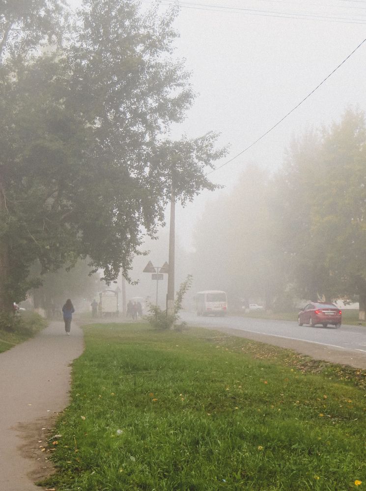 Photograph by Дарья Овсянникова