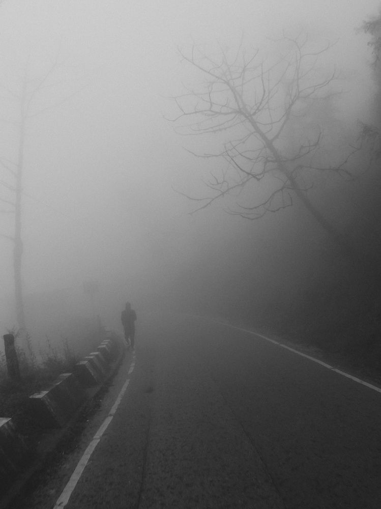 Photograph by Vivek Prasad