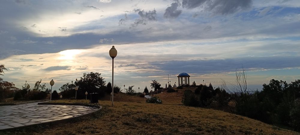Photo #9287821