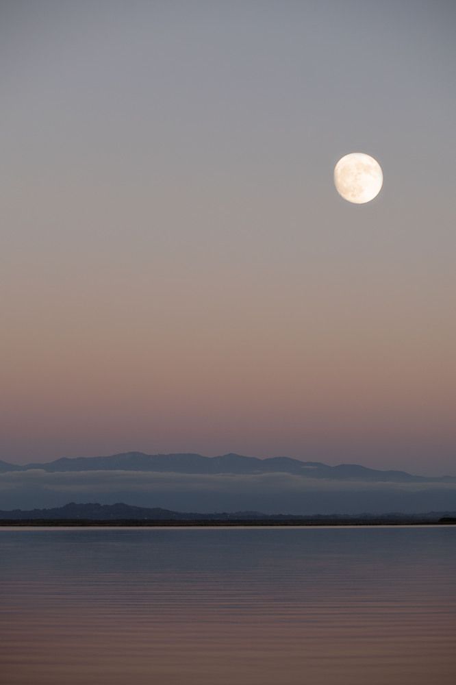 Photograph by Анастасия Полянская