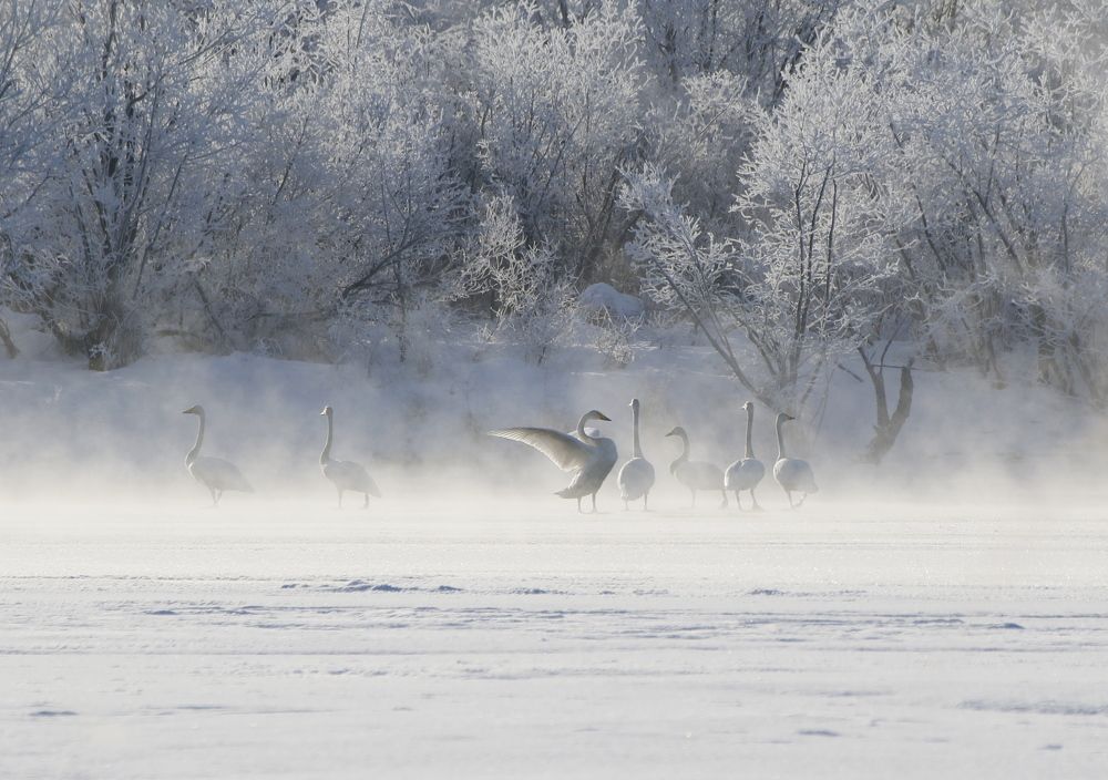 Photograph by Наталья Турчик