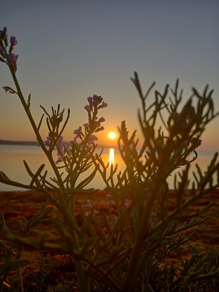 Photograph by Ольга Шевцова