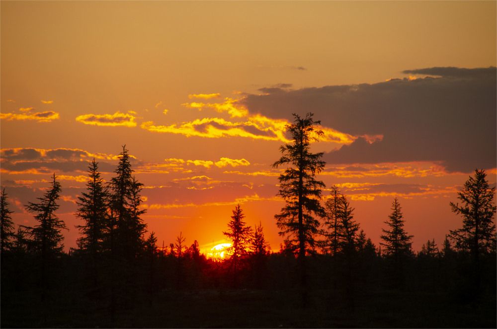 Краденое солнце