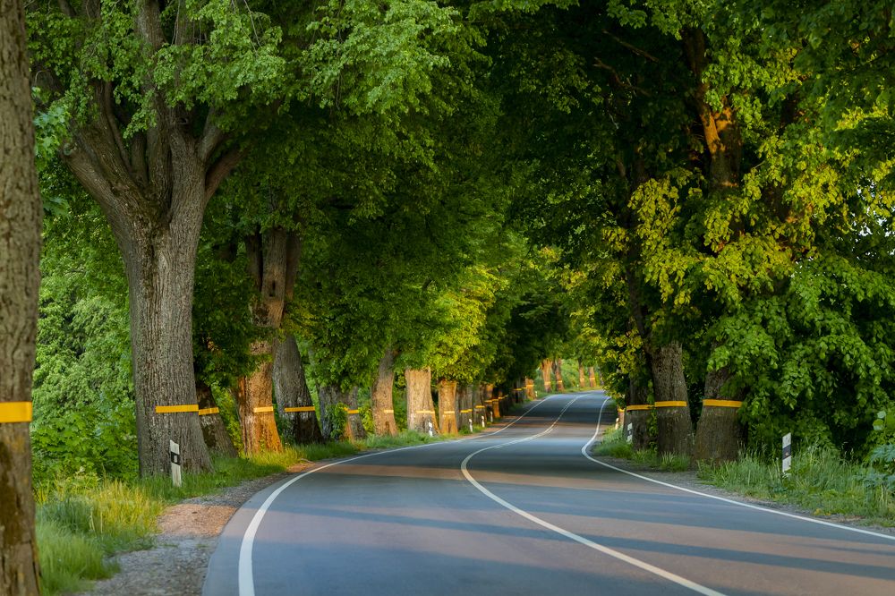 Photograph by Константин Чижов