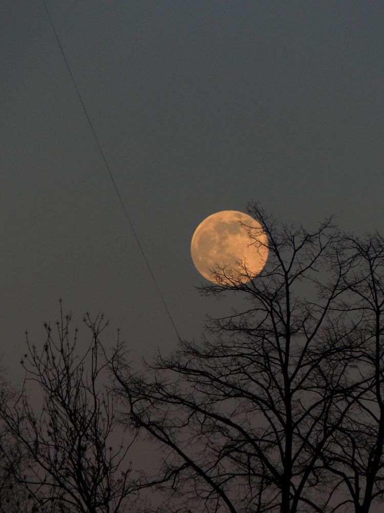 Photograph by Тимур Хохоев