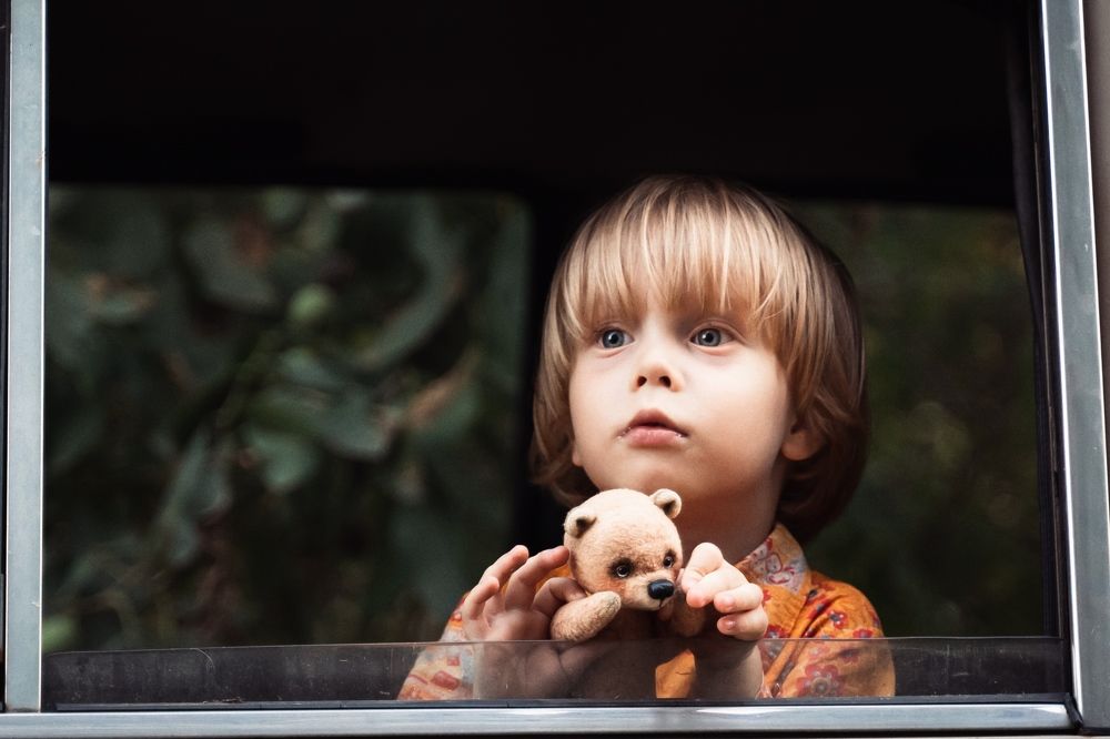 Фотография автора Григорий Зверев