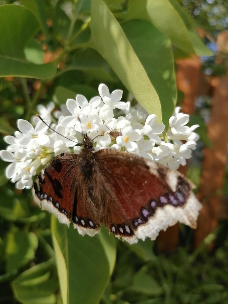 Photograph by Татьяна Бешенкина