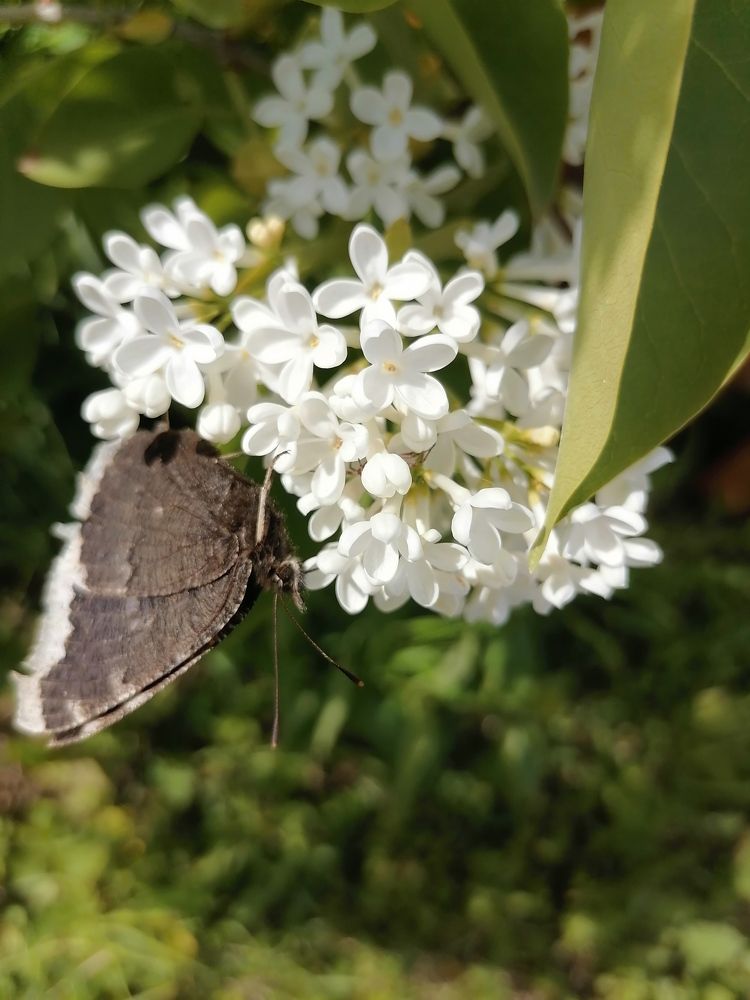 Photograph by Татьяна Бешенкина