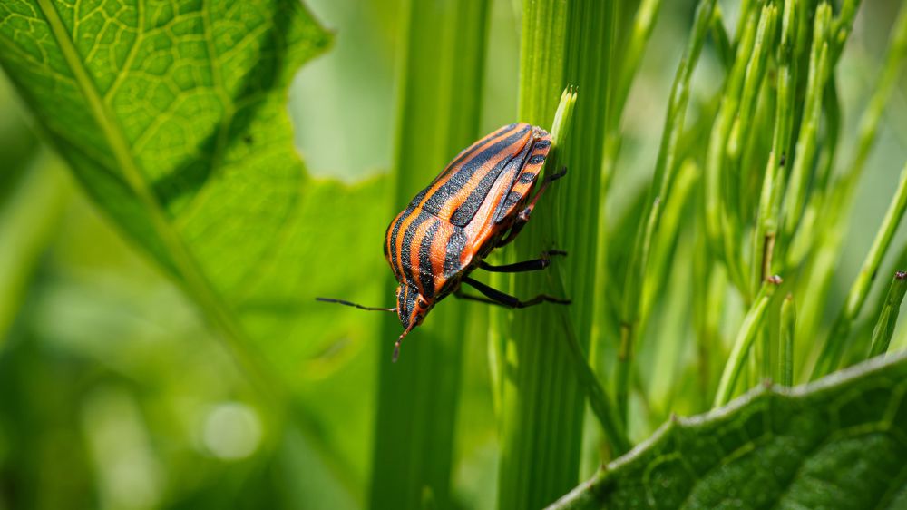 Photograph by Андрей Мичурин