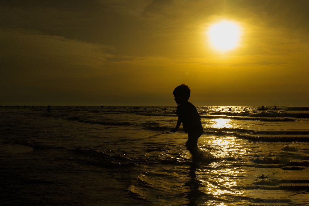 Фотография автора hanieh seyffard