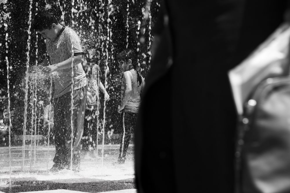 Фотография автора hanieh seyffard