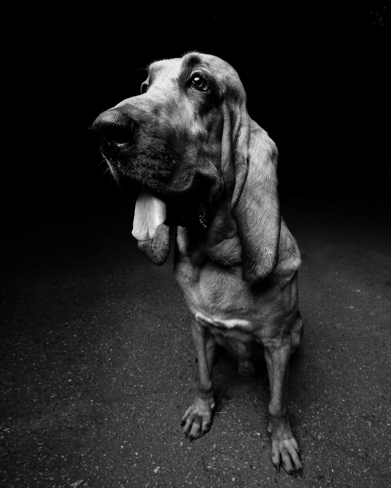 Photograph by Ivn Kabalin