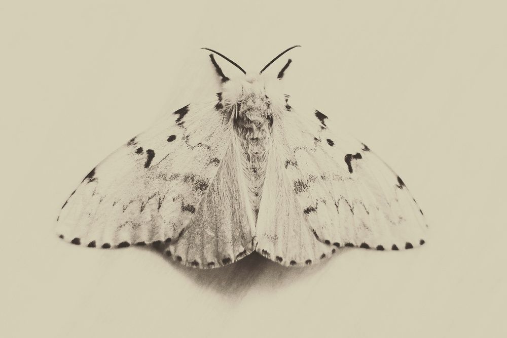 Фотография автора Ola La